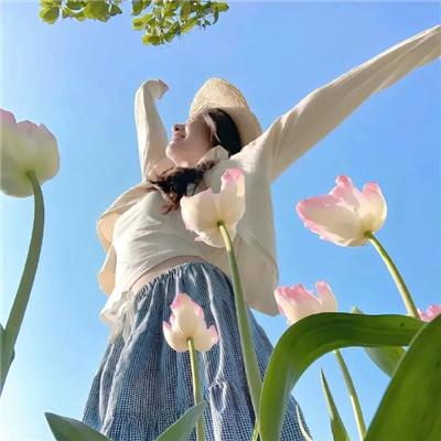 王妃慌了之深宫锁清秋